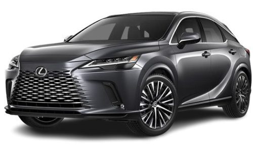 LEXUS RX (AL30) plachta na auto - XL (2022-)